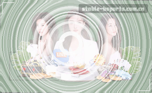 数据档案：精准管理每一页